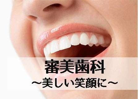 審美歯科1